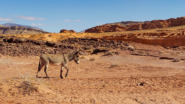 Drive to Little Finland